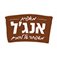 שלמה א. אנג'ל בע"מ logo